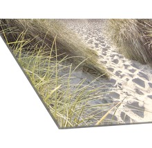 Acrylglasfoto van een duinlandschap met gras en zand