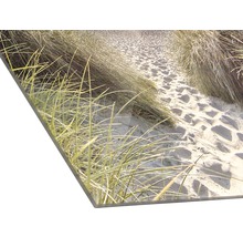 Decoratieve plaat met een motief van een zandpad op het strand
