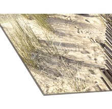 Decoratieve plaat met zandduinmotief en helmgras