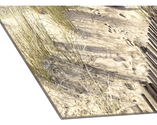 Decoratieve plaat met zandduinmotief en helmgras