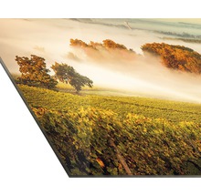 Decoratieve muurafbeelding met wijngaardlandschap in de mist