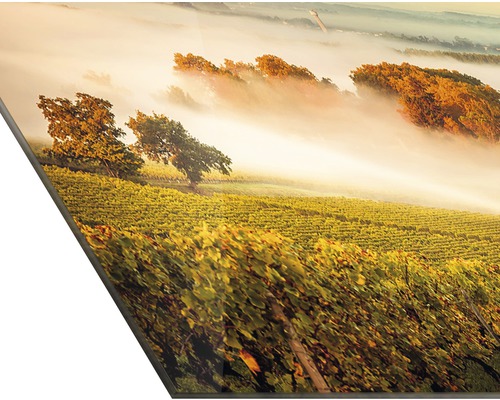 Decoratieve muurafbeelding met wijngaardlandschap in de mist