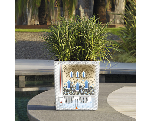 Plantcontainer met irrigatiesysteem en planten