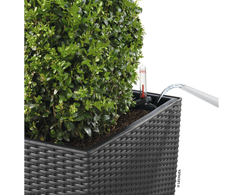 Water geven aan een plantenbak met waterniveau-indicator