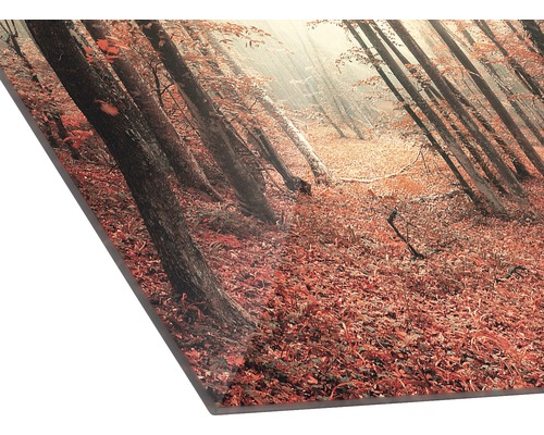 Decoratieve plaat met een motief van bomen in het bos