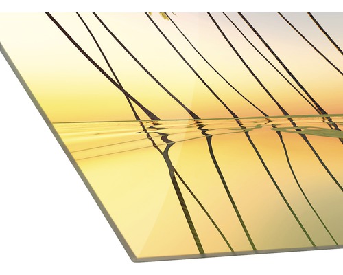 Acrylglasfoto met palmbomen bij zonsondergang