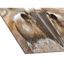 Decoratieve plaat met antiek automotief