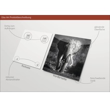 Glasfoto met olifantmotief, inclusief ophanging en afstandhouders