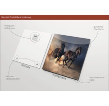 Glazen foto met paardenmotief, inclusief afstandhouder en ophangsysteem