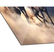 Detailaanzicht van een glazen fotoplaat met het motief van galopperende paarden