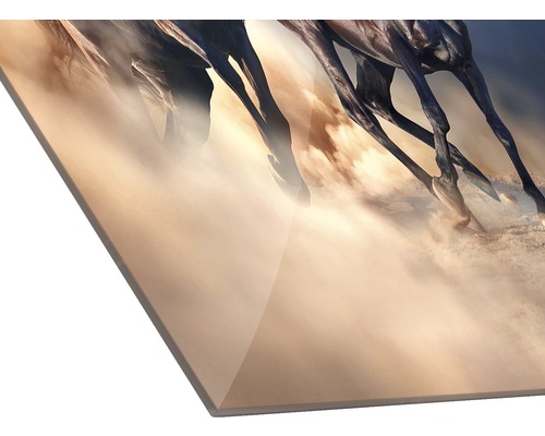 Detailaanzicht van een glazen fotoplaat met het motief van galopperende paarden