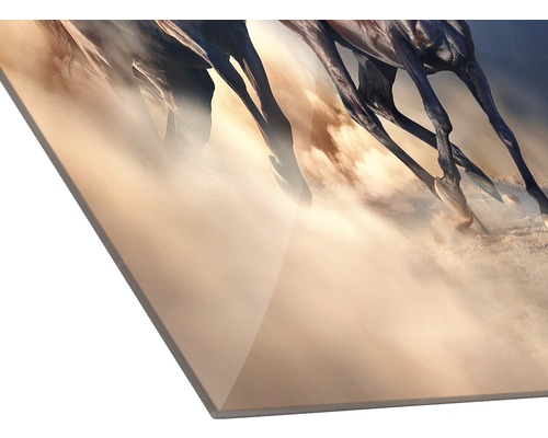 Wanddecoratie met paardenmotief op acrylglas