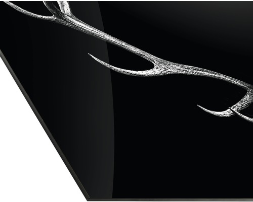 Decoratieobject gewei op zwarte achtergrond