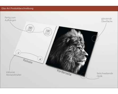 Glazen foto met leeuwenmotief, inclusief wandhouder voor eenvoudige montage