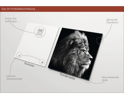 Glazen foto met leeuwenmotief, inclusief muurbevestiging en glanzend oppervlak