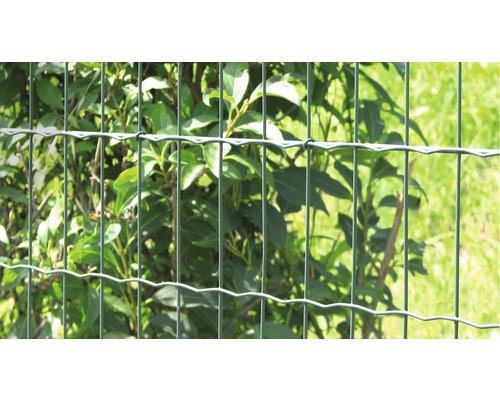 Metalen hek voor struiken in de tuin