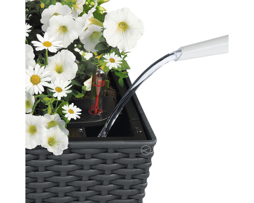 Bewatering van een plantenbak met waterindicator en witte bloemen.
