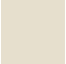 SELECTION StyleColor Muurverf kleur 37 Ontdekkingsreiziger mat 2,5 l-thumb-1