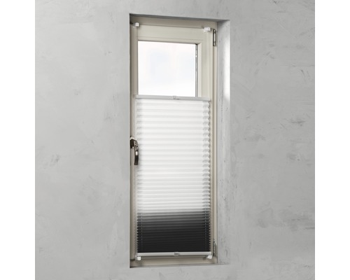 Venster met plisségordijn voor lichtregeling