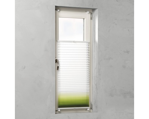 Raam met plisségordijn voor privacy en zonwering