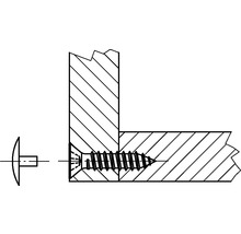 DRESSELHAUS Afdekkap Ø 12x2,4 mm kunststof wit, 100 stuks