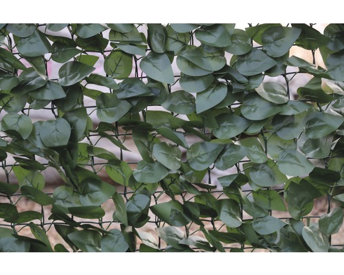 Kunstmatige klimop als privacymat