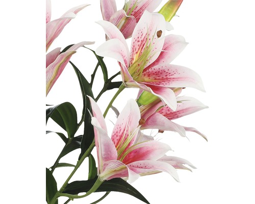 Close-up van roze leliebloemen met groene bladeren.