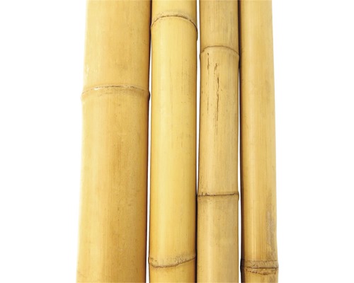 Detailopname van bamboestokken