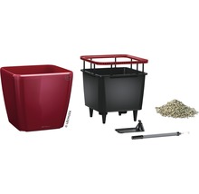Lechuza Classico plantenbak met accessoires