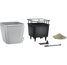 Lechuza Classico LS 43 plantenbak met toebehoren