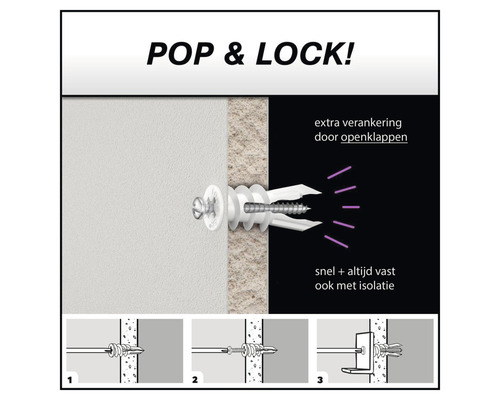 Illustratie van een Pop & Lock plug met schroef in de muur