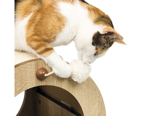 Kat speelt met een bal aan een kattenmeubel