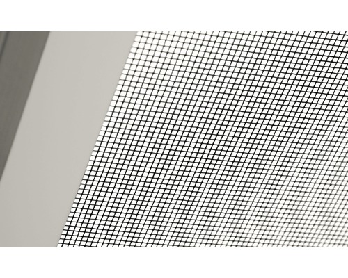 Close-up van een insectenhor op een raamkozijn