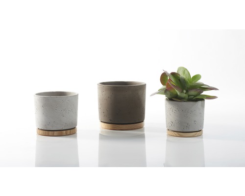Drie betonnen bloempotten met houten schotels, één met plant