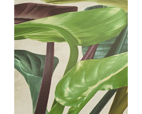 Close-up van tropische bladeren als wanddecoratie