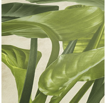 Close-up van een behang met plantenmotief