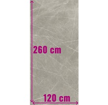 XXL Wand- en vloertegel Always Taupe Natural mat 120x260 cm 6 mm gerectificeerd-thumb-0