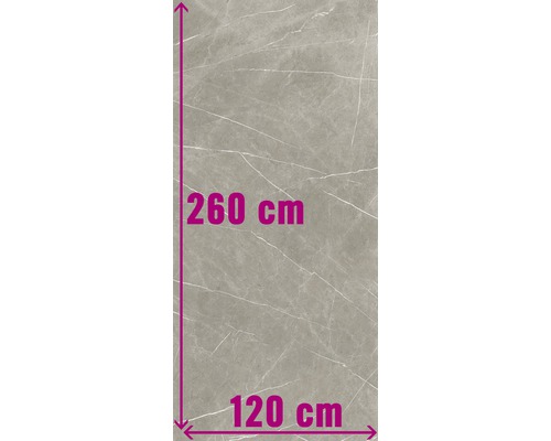 XXL Wand- en vloertegel Always Taupe Natural mat 120x260 cm 6 mm gerectificeerd-0