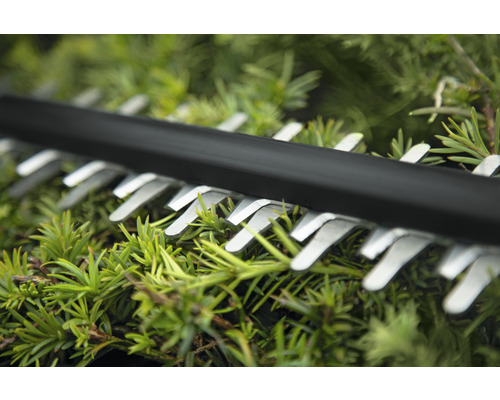 Gedetailleerde opname van de messen van een heggenschaar die groen snoeit.