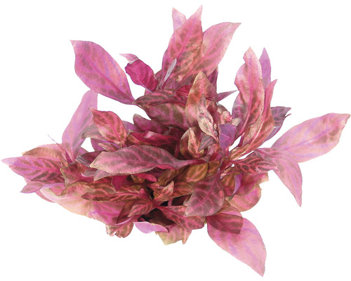 Kunstmatige aquariumplant met bladeren