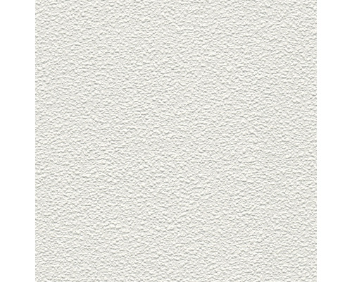 A.S. CRÉATION Vliesbehang 1038-19 ProProtect pleisteroptiek Gestructureerde pleisterondergrond