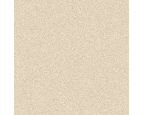 A.S. CRÉATION Vliesbehang 3091-5 effen glad cappuccino Close-up van een gestructureerd, beige behang.