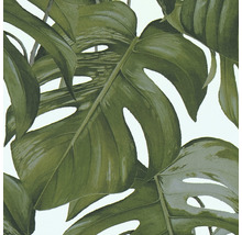 Behang met Monstera-bladeren