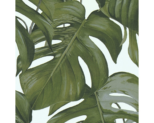 Behang met Monstera-bladeren