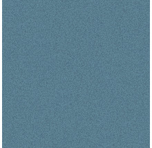 Blauw tapijt met gemêleerde textuur voor binnenshuis