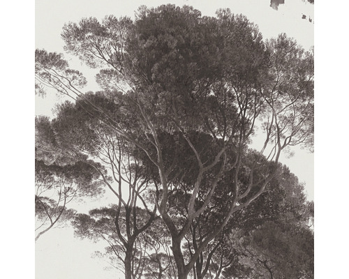 Behang met boommotief