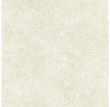Close-up van een beige keramische tegel met gespikkelde textuur.
