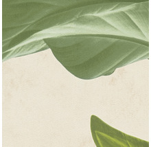 Close-up van planten op een neutrale achtergrond