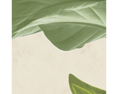 Close-up van planten op een neutrale achtergrond