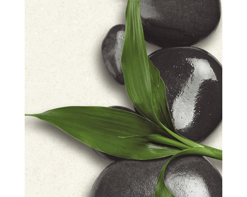 Decoratieve zwarte stenen met groene bladeren